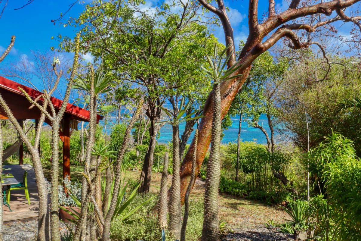location bungalow Martinique vue mer 2 personnes jardin